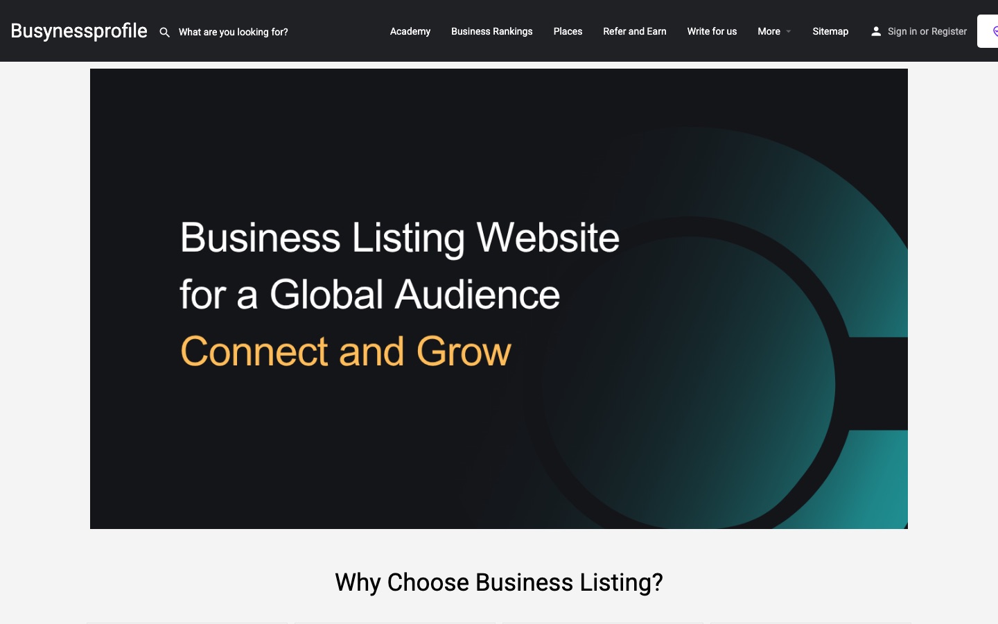 The busynessprofile.com home page